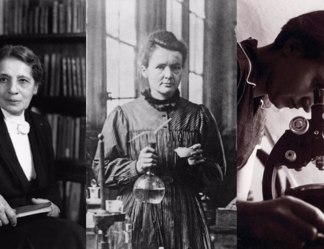 From left to right: Lise Meitner, Marie Curie and Rosalind Franklin.